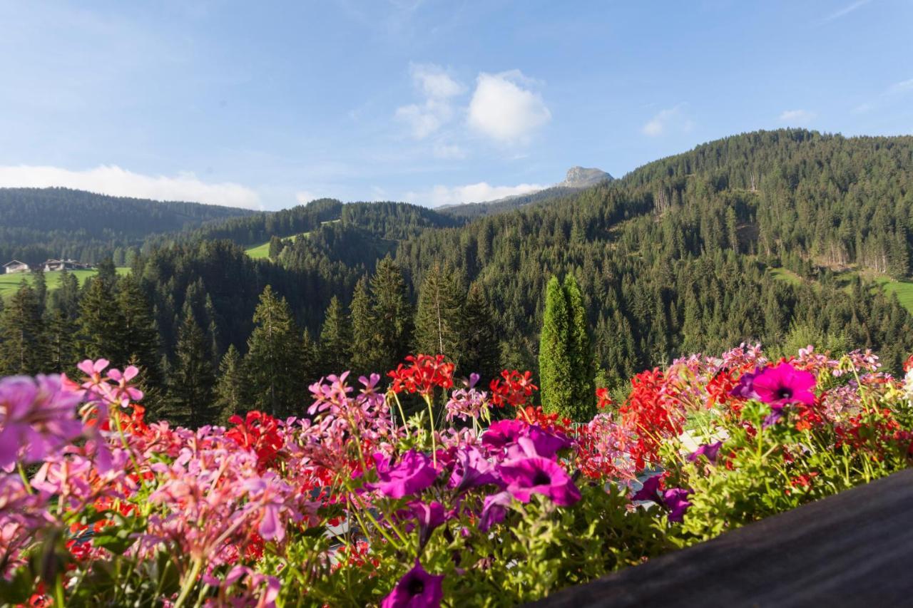 Alpenspitz Appartements - Garni - B&B راسيني المظهر الخارجي الصورة