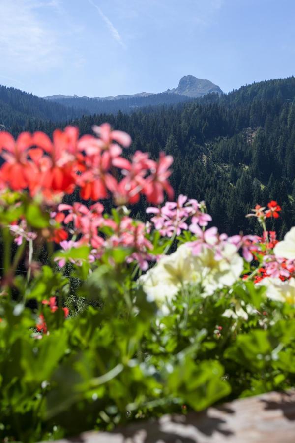 Alpenspitz Appartements - Garni - B&B راسيني المظهر الخارجي الصورة